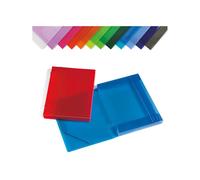 CARTELLA PPL C/ELASTICO TRASPARENTE ASSORTITI 355X265MM DORSO 30 (Conf.12)