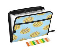 Cartella di file espandibile in plastica 13 tasche formato A4 lettera con chiusura a cerniera per la conservazione dei documenti grigio giallo animale a righe zucca carpetas de