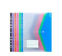 cartella plastica trasparente, Organizer for buste tascabili perforate espandibili, formato A4, 30 pezzi, 11 fori, multicolore(Horizontal style)