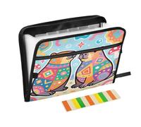 Cartella portadocumenti a fisarmonica con 13 tasche a fisarmonica a soffietto, colore celeste, per lavoro e casa