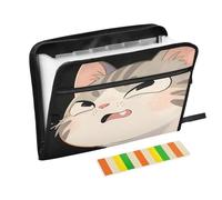 Cartella portadocumenti a fisarmonica con 13 tasche a soffietto, con cerniera, colore nero, per lavoro e casa