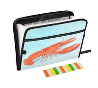 Cartella portadocumenti a fisarmonica con 13 tasche a soffietto, realistica, espandibile, con cerniera, per lavoro e casa