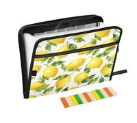 Cartella portadocumenti a fisarmonica con 13 tasche, espandibile con cerniera, per lavoro e casa