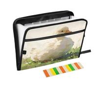 Cartella portadocumenti a fisarmonica con 13 tasche, espandibile, con etichette, porta banconote, ricevute, documenti