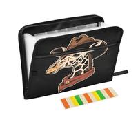 Cartella portadocumenti a fisarmonica nera con 13 tasche, espandibile, con etichette, per banconote, ricevute, documenti