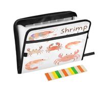 Cartella portadocumenti espandibile con 13 tasche, con etichette, formato A4, con cerniera