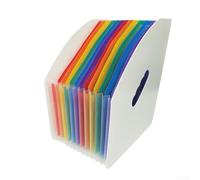 Cartella portadocumenti espandibile in plastica ecologica con manici per un facile trasporto e una conservazione sicura dei documenti (A)