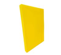 Cartella Portaprogetti con Elastico U140 Leonardi - Dorso 3 - 25x35 cm - U140-GI