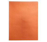 Cartelle 3 lembi Standard Manilla 50 pz. Arancio