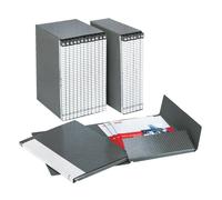 Cartelle a 2 lembi Esselte I56 DELSO LIN 3 cm 6 cartelle - 390956040