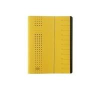 Cartelle ELBA Chic giallo 12 pezzi DIN A4 12 pieghe giallo NEW