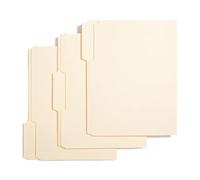 Cartelle File Formato A4 - Cartelle con linguette tagliate a 1/3, 100 unità, 100 unità Materiale Scuola Organizzazione Per Fatture Domestiche E Contratti