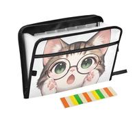 Cartelle portadocumenti espandibili con 13 tasche formato A4 con chiusura a cerniera per ufficio scuola cartone animato carino gatto sorpreso expando