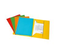 Cartellette 25 pezzi 3 lembi Bristol 25x33 cm 200 g/mq 5 colori x 5 pz.