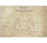 Cartelli in alluminio con anatomia e scarpe da punta per il balletto, poster con nozioni di base sul balletto, regalo, guida per principianti al balletto, pittura su ferro, studio di danza, uffici