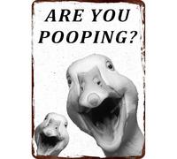 Cartelli in latta retrò in metallo "Oche stai facendo la cacca?" Cartello in latta divertente vintage in alluminio, decorazione da parete per bagno, toilette, giardino, cortile, fattoria, strada, 8 x