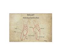 Cartelli in metallo con anatomia delle scarpe da punta per il balletto, poster con nozioni di danza classica, targhe con guida per principianti al balletto, decorazioni da parete per la stanza dell