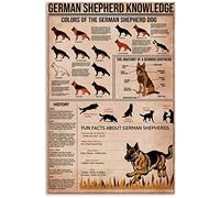 Cartelli in metallo con informazioni sul pastore tedesco, infografiche sul pastore tedesco, poster di lettura, targhe guida scientifica per cani, cucce, negozi di animali, decorazioni murali, 12x16