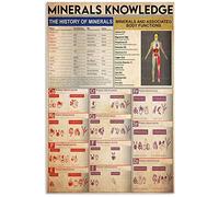 Cartelli in metallo con informazioni sulla scala dei tempi geologici, guida di riferimento per la conoscenza della geologia, poster per l'insegnamento in classe, targhe decorative per ufficio, studio