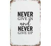 Cartelli in metallo con parole ispiratrici, cartello in alluminio, targa vintage, decorazione da parete per caverna maschile, poster retrò in latta, non arrenderti mai e non arrenderti mai, regalo pe