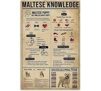 Cartelli in metallo con scritta "Vegetariane Knowledge", poster con istruzioni per la cucina vegetariana, decorazioni da cucina, targhe stampate, decorazioni da parete per la casa, 12x16 pollici