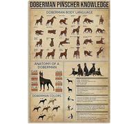 Cartelli in metallo con scritta "Vegetariane Knowledge", poster con istruzioni per la cucina vegetariana, decorazioni da cucina, targhe stampate, decorazioni da parete per la casa, 12x16 pollici