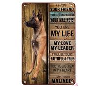 Cartelli in metallo per esterni Cane Malinois Io sono il tuo amico Il tuo partner Il tuo Malinois Tu sei la mia vita Cartello in latta Decorazioni in metallo da parete artistiche chic 8x12 pollici