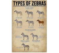 Cartelli in metallo vintage con la scritta "Zebre, conoscenza, tipi di zebre, pianure, zebra, equus, quagga", poster retrò, scuola, zoo, caffè, camera da letto, animali, decorazione per la casa, cart