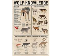Cartelli in metallo "Wolf Knowledge", poster in latta "Wolf Knowledge", targhe retrò, decorazioni per la stanza della scuola, insegne in alluminio, decorazioni da parete, 12x16 pollici