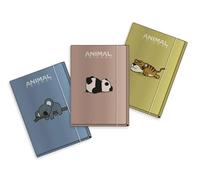 Cartellina 3 lembi per fogli A4 Animal Friends Green 25x35x1cm con elastico - Realizzata in Carta FSC - ideale per scuola e ufficio - Koala, Panda, Tigre - Oliva, Mandorla, Lavanda (Mandorla, Tigre)