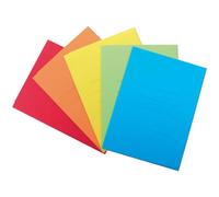 CF25CARTELLINE CARTEX 3L ASS VIVACI