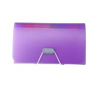 Cartellina per documenti, Organizer for file A6 trasparente con elastico