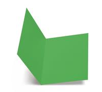 Cartellina semplice FAVINI FOLDER S cart 25x34cm verde 60 conf.50 - A50D664