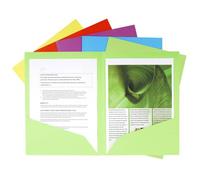 Cartelline doppia tasca Exacompta ROCK''S cartoncino 210 g/m² A4 colori assortiti conf. 25 - 415000E