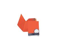 Cartellina 3 lembi Favini FOLDER 3L Luce&Acqua 200 g/m² 24,5x34,5cm scarlatto 61