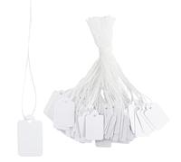 Cartellino del Prezzo, 500 Pezzi Mini Etichette dei Prezzi con Stringa, 24 x 15 mm Cartellino Etichette di Vestiti Cartellini Vuoti Scrivibili Gioielli Etichette Abbigliamento Regalo Tag (500 Bianco)
