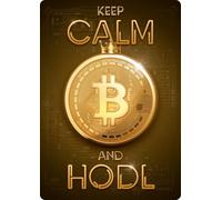 Cartello Alluminio - Keep Calm Bitcoin - targa decorativa in metallo - tema criptovalute - 14,8 x 21 cm - Flamingo
