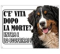 CARTELLO ATTENTI AL CANE - BOVARO DEL BERNESE c'è vita dopo la morte, entra e lo scoprirai - Con Adesivo in Vinile e Pannello in Forex (Adesivo)