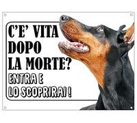 CARTELLO ATTENTI AL CANE - DOBERMANN c'è vita dopo la morte, entra e lo scoprirai - Con Adesivo in Vinile e Pannello in Forex (Pannello 5mm Stampato)