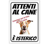 Cartello Attenti al Cane Personalizzato 18x25cm, Made in Italy - Attenti al Cane Targhetta Personalizzabile con Foto, Cartello in Forex Rigido 3mm - Protezione al Raggi UV e Colori Vividi - Isterico