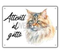 Cartello Attenti Al Gatto 15 X 20 Cm,Facile da installare, per Uso Interno o Esterno,Resistente UV,Resistente alle intemperie, Decorazioni Per La Casa