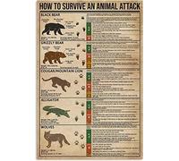Cartello Camper Knowledge How To Survive An Animal Attack Targa In Metallo In Latta Decorazioni Per Ufficio Affari Club Caffè S