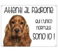 CARTELLO CANE - COCKER Attenti al padrone qui l'unico normale sono io - Con Adesivo in Vinile e Pannello in Forex (Pannello 5mm Stampato)