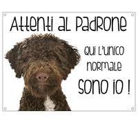 CARTELLO CANE - LAGOTTO Attenti al padrone qui l'unico normale sono io - Con Adesivo in Vinile e Pannello in Forex (Adesivo)