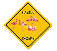 Cartello con fenicottero Xing Crossing, cartelli divertenti per la decorazione della casa, 30,5 x 30,5 cm, in alluminio antiruggine, per interni ed esterni