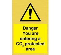 Cartello con scritta "Danger you are enter a CO₂ protected area", 200 x 300 mm, formato A4P