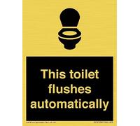 Cartello con scritta "This toilet flushes automatically - 75 x 100 mm - A7P
