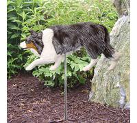 Cartello Da Giardino Per Cane Border Collie Dipinto A Mano Blu Merle