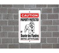 Cartello decorativo con scritta "Property Protected by Boston Terrier Guard Dog Warning Breed" (lingua italiana non garantita)