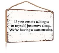 Cartello decorativo da appendere con scritta in inglese "If You See Me Talking To Myself, Just Move Along We'Re Having A Team Meeting", cartello in legno, accessorio da scrivania per donne (23 x 35 cm